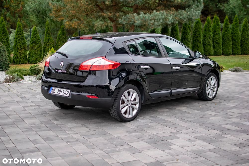 Renault Megane - 21