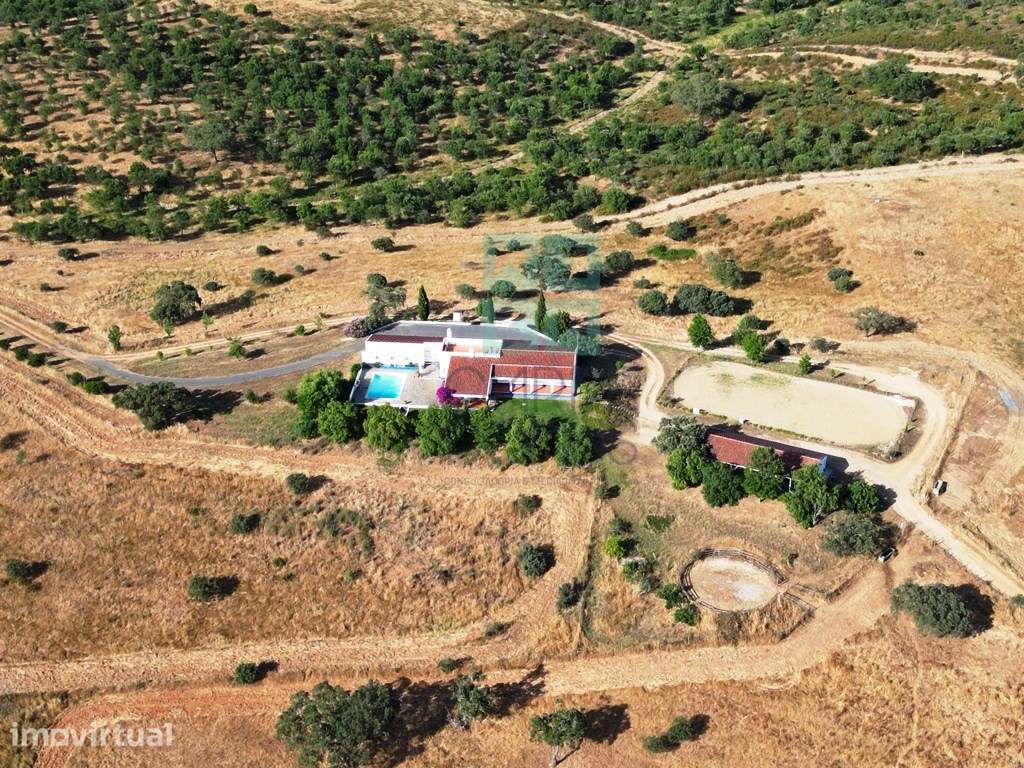 Herdade equestre com moradia T5 e piscina, 93,5ha, em Ourique, Alen... - Grande imagem: 2/60