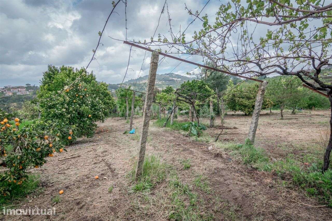 Terreno / Cinfães, Souselo - Grande imagem: 2/8