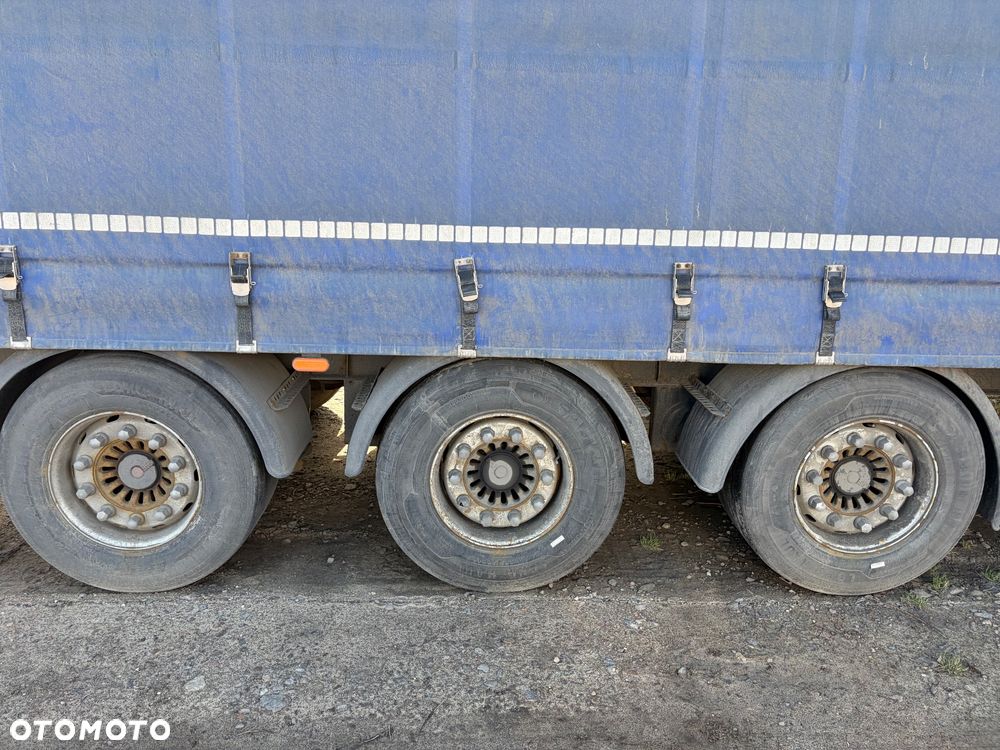 Berger Mega firanka - 5