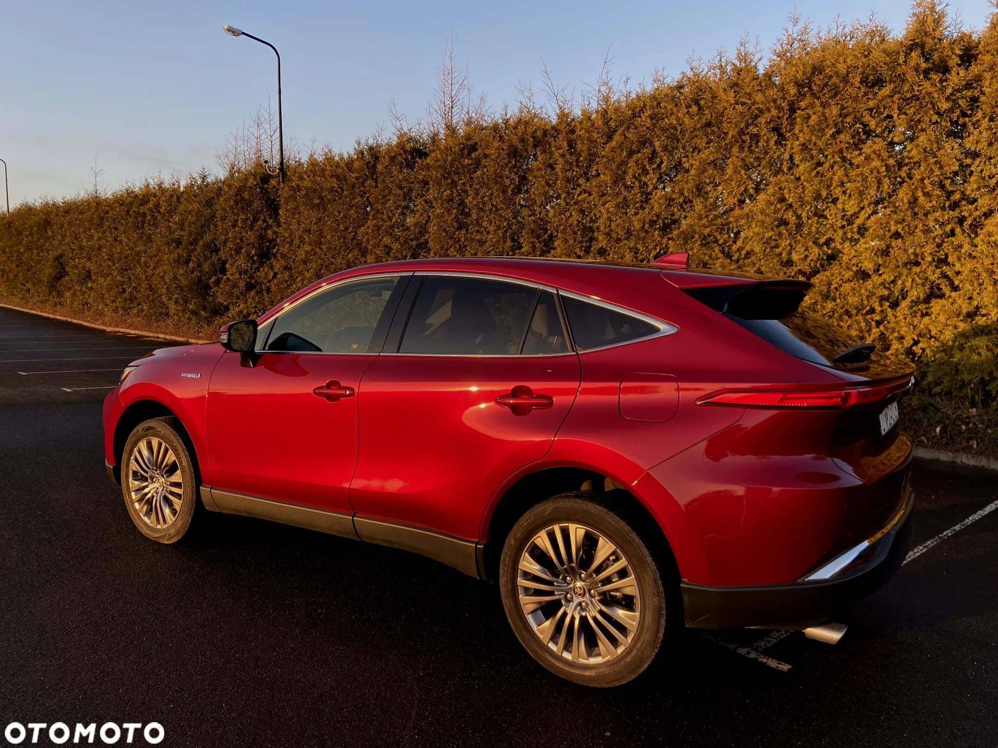 Toyota Venza - 13