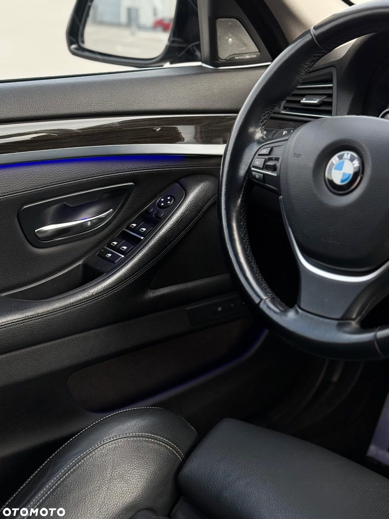 BMW Seria 5 520d Luxury Line - 21