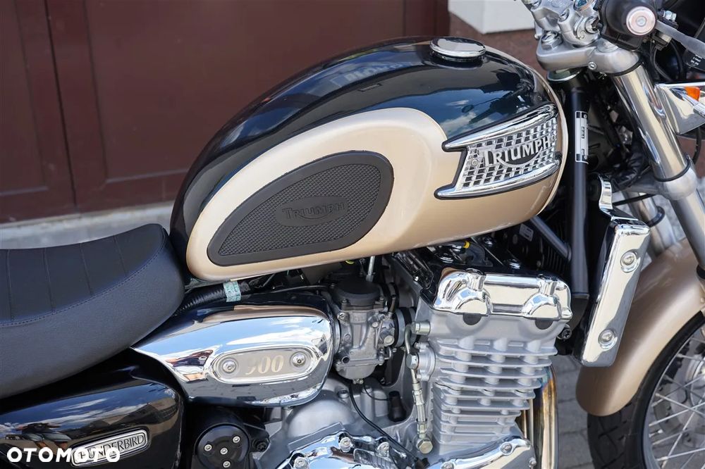 Triumph Thunderbird - 10