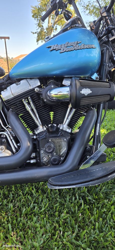 Harley-Davidson FLST Cross-Bones - 3
