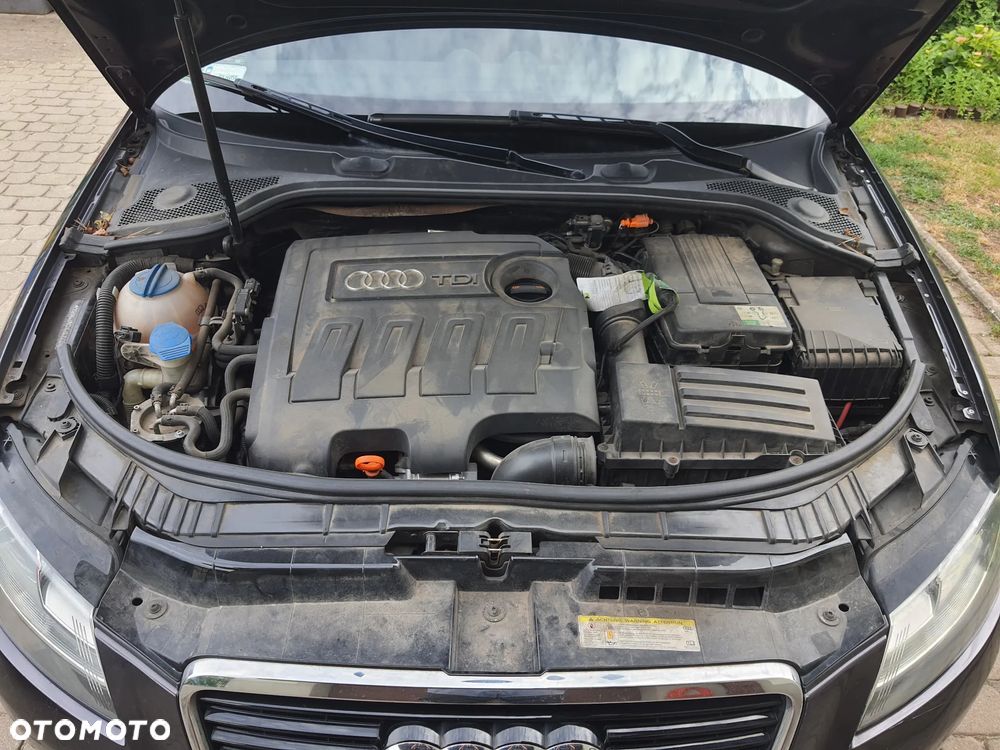 Audi A3 3-drzwiowe - 6