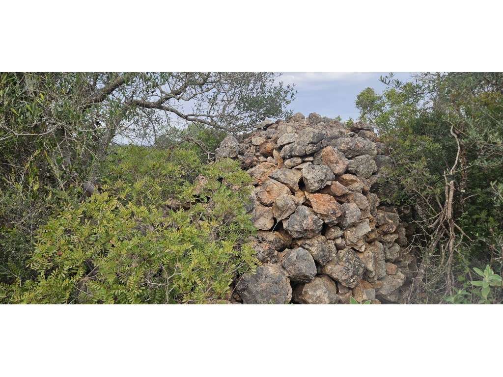 Terreno com ruina em Santa Margarida, Tavira, Algarve - Grande imagem: 3/9