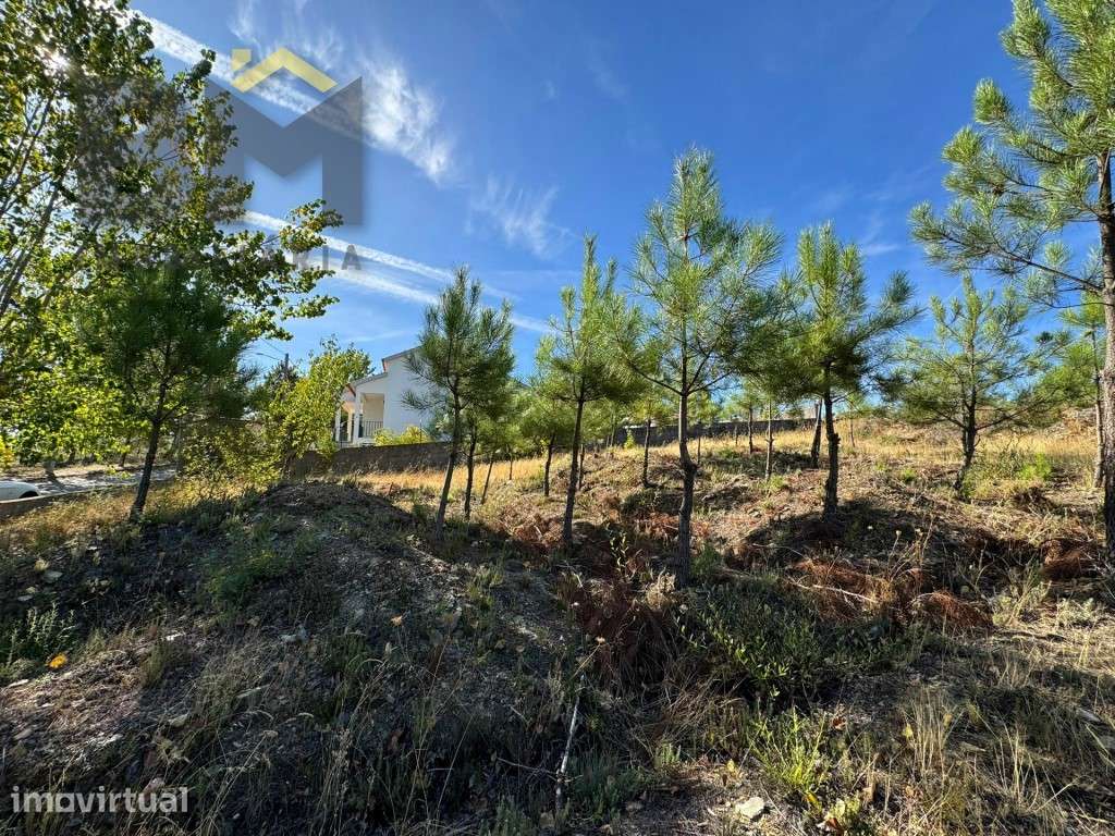 Terreno urbano para construção de moradia em São Vicente da Beira! - Grande imagem: 4/11