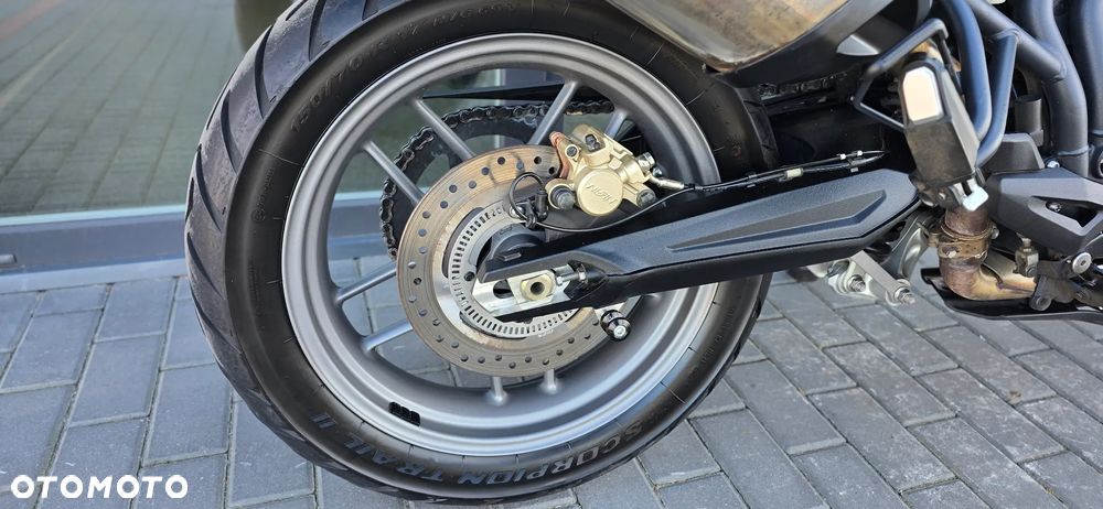 Triumph Tiger - 17