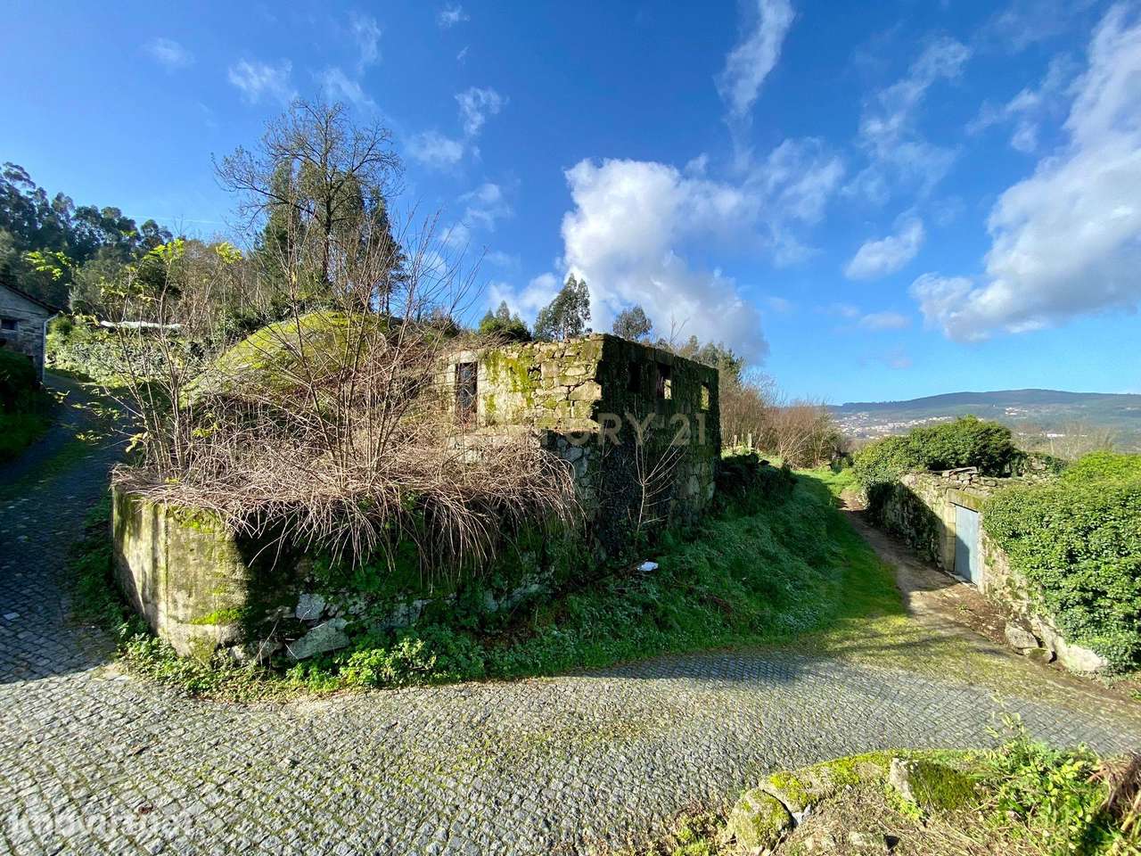 Quinta e Herdade Povoa de Lanhoso (Aceita se propostas) - Grande imagem: 3/13