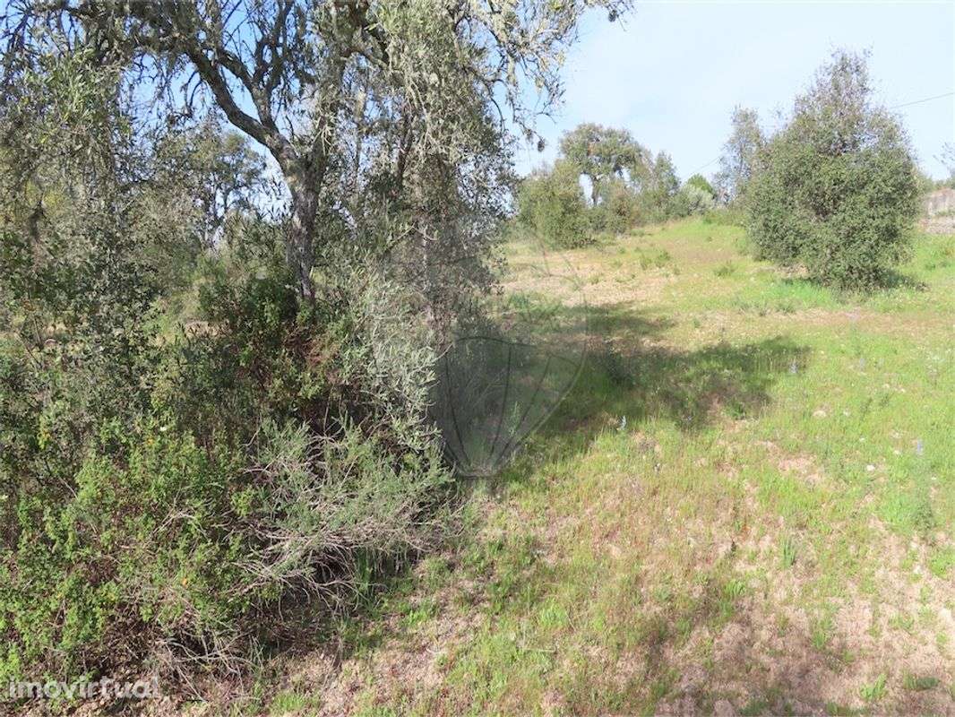 Quinta  para venda - Grande imagem: 3/20