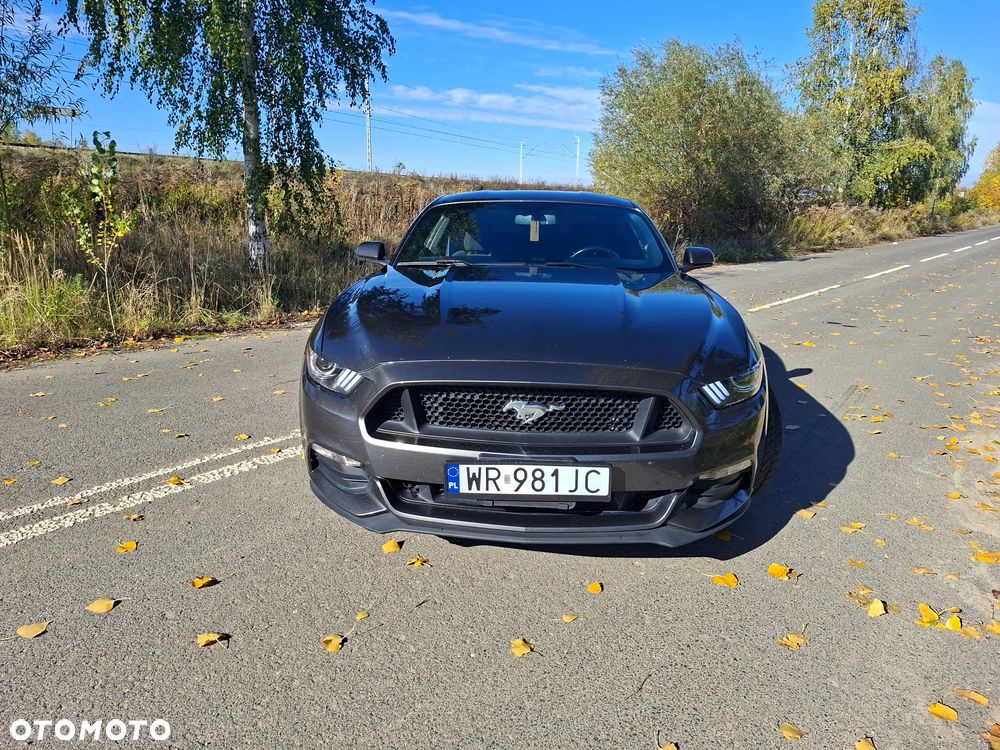 Ford Mustang - 10