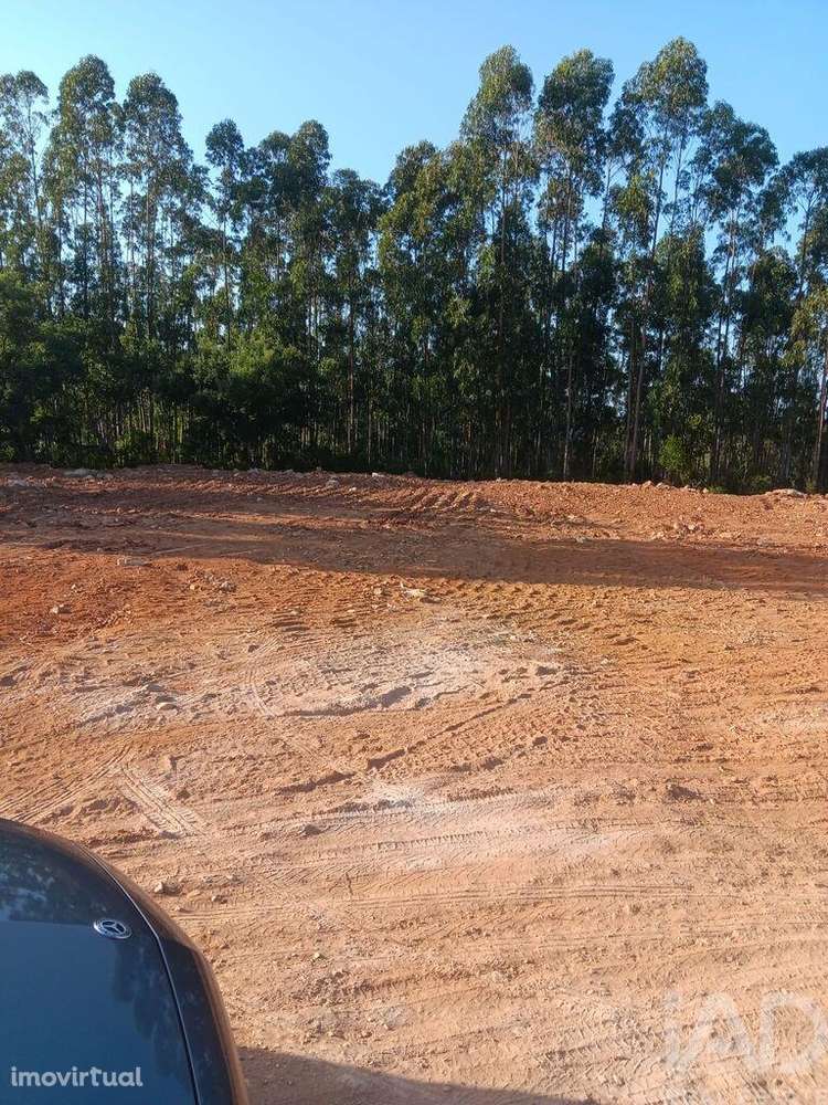 Terreno Agrícola em Évora de Alcobaça de 9770,00 m2 - Grande imagem: 3/3