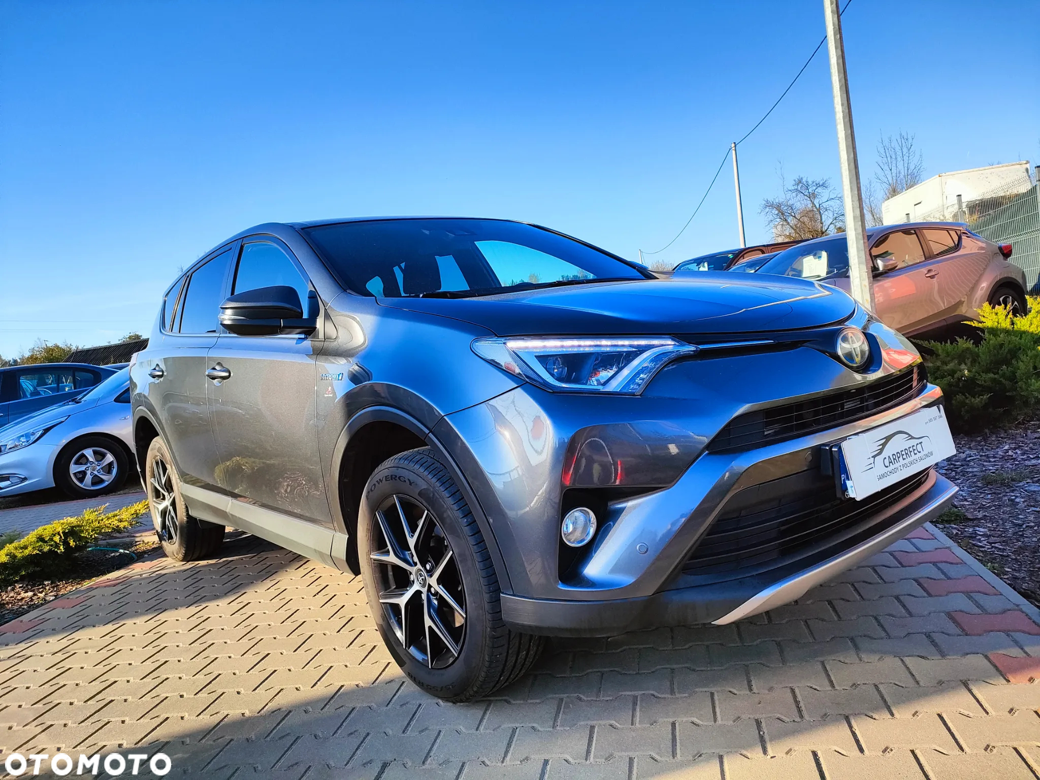 Toyota RAV4 Hybrid Premium 4x2 - 8