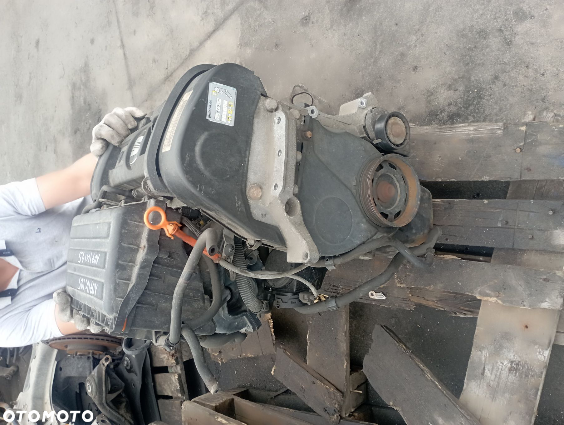 SILNIK BXW

 SEAT
 IBIZA III LIFT LS7Z - 6