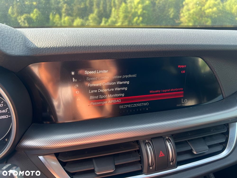 Alfa Romeo Stelvio 2.2 16V AT8 Q4 B-Tech - 19