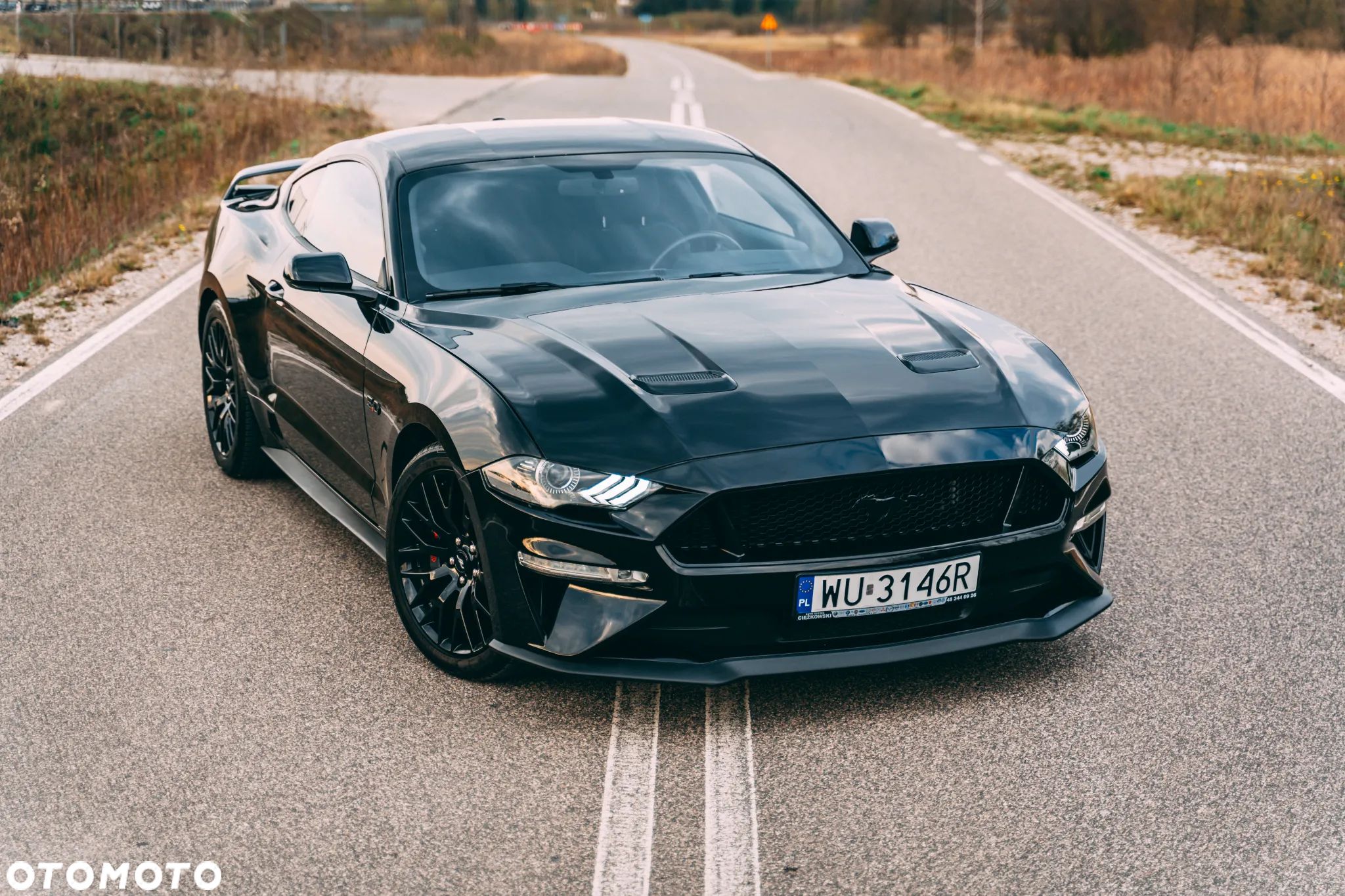 Ford Mustang 5.0 V8 GT - 1