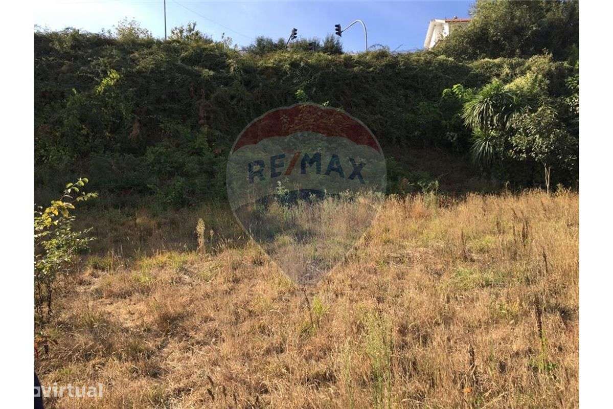 TERRENO CAMPANHÃ - 1450 M2 - Grande imagem: 4/4