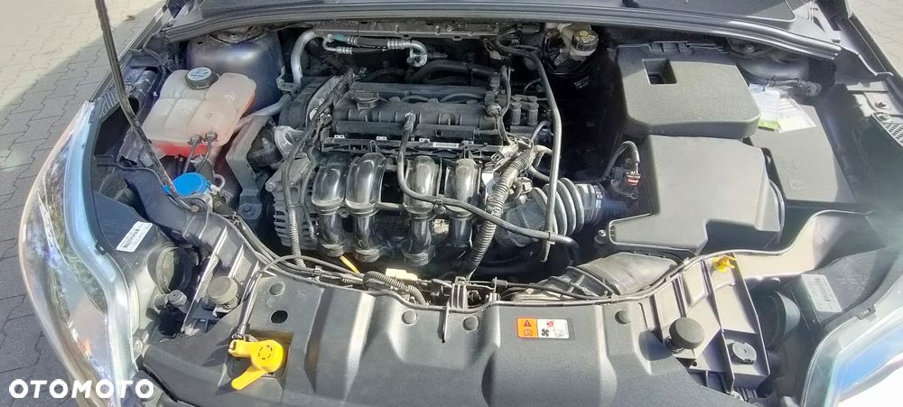 Ford Focus 1.6 Ambiente - 7
