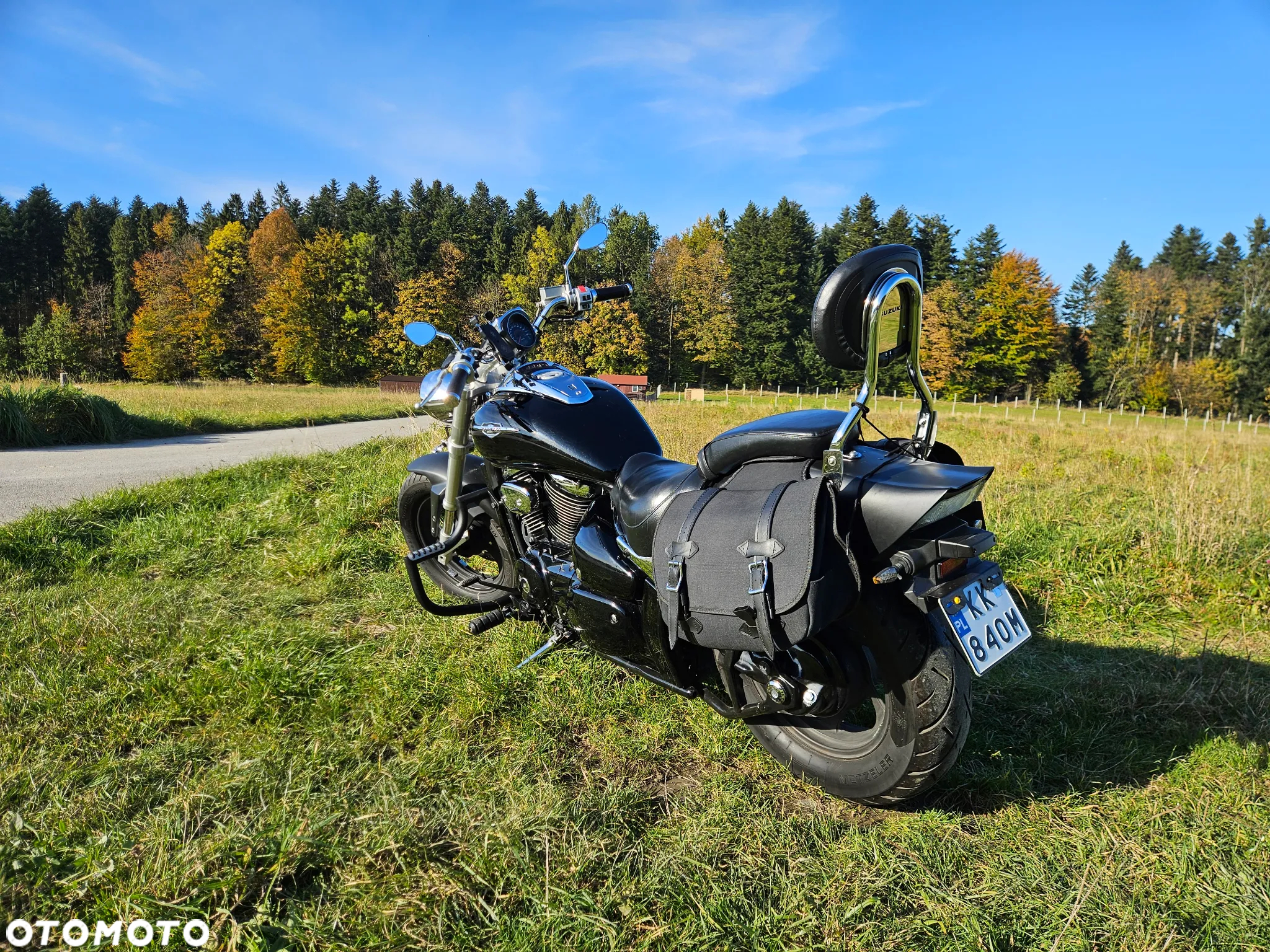 Suzuki Intruder - 26