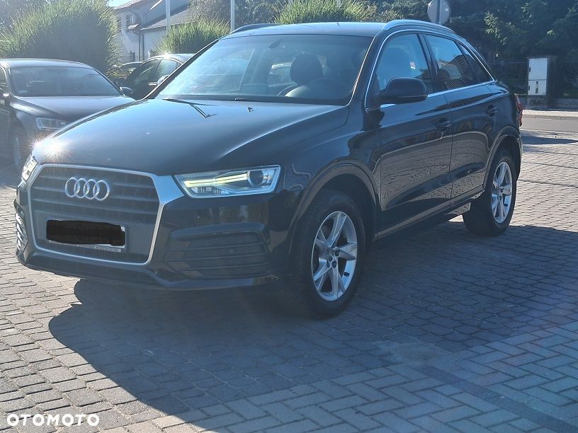 Audi Q3 2017 photo 2