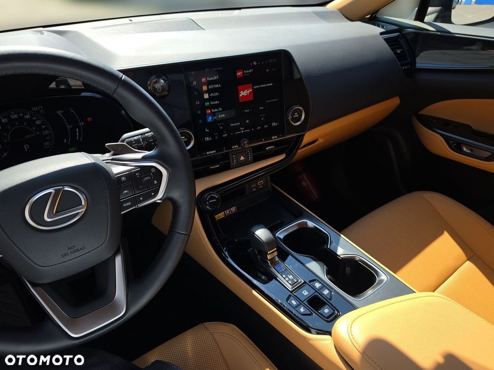 Lexus NX - 28