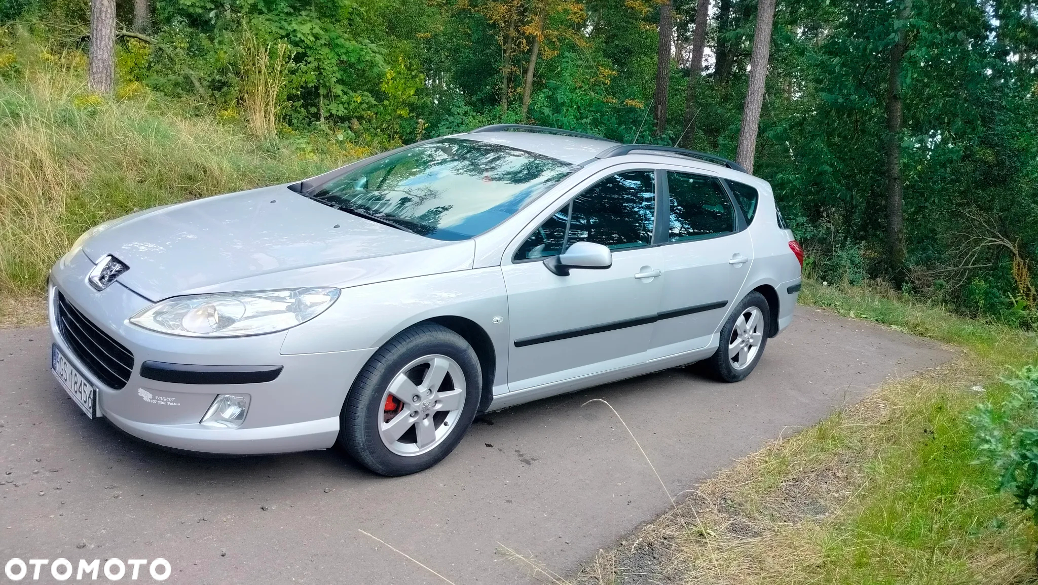 Peugeot 407 1.6 HDI Premium - 3