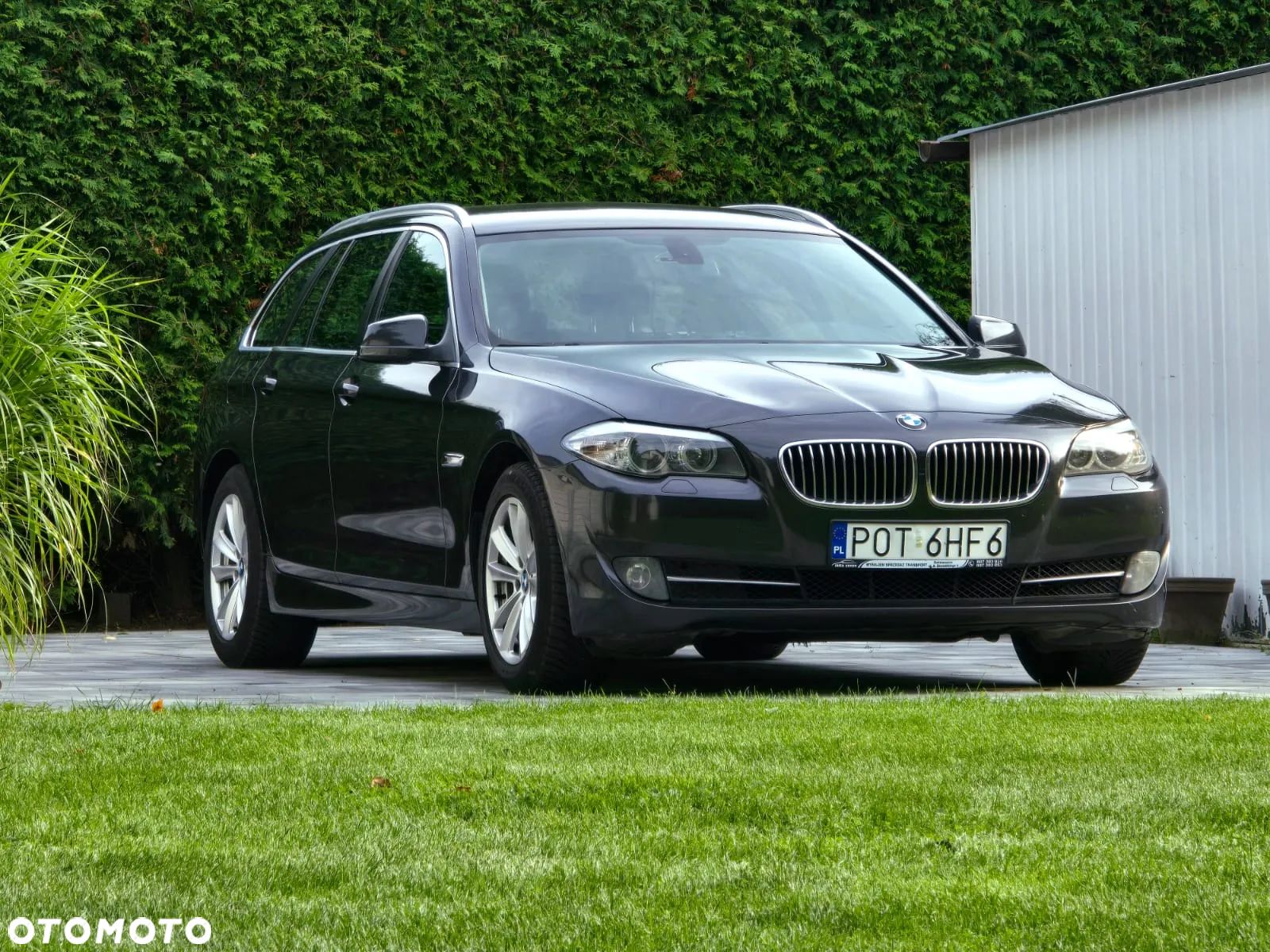 BMW Seria 5 - 1