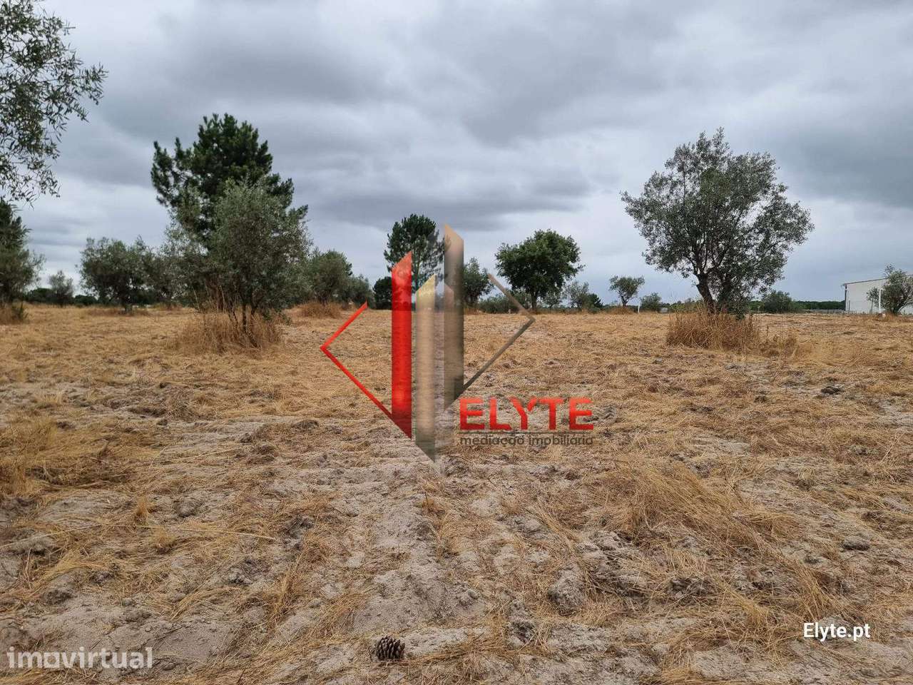 Terreno urbanizável na Branca – Coruche - Grande imagem: 2/23