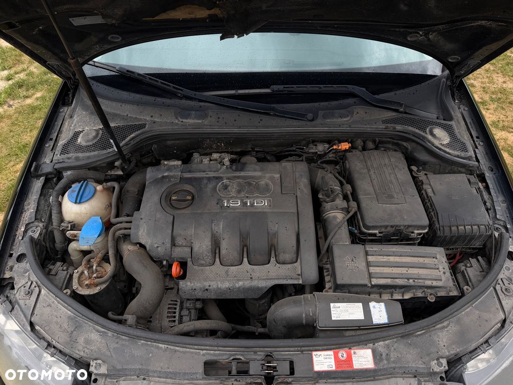 Audi A3 3-drzwiowe 1.9 TDIe DPF - 20