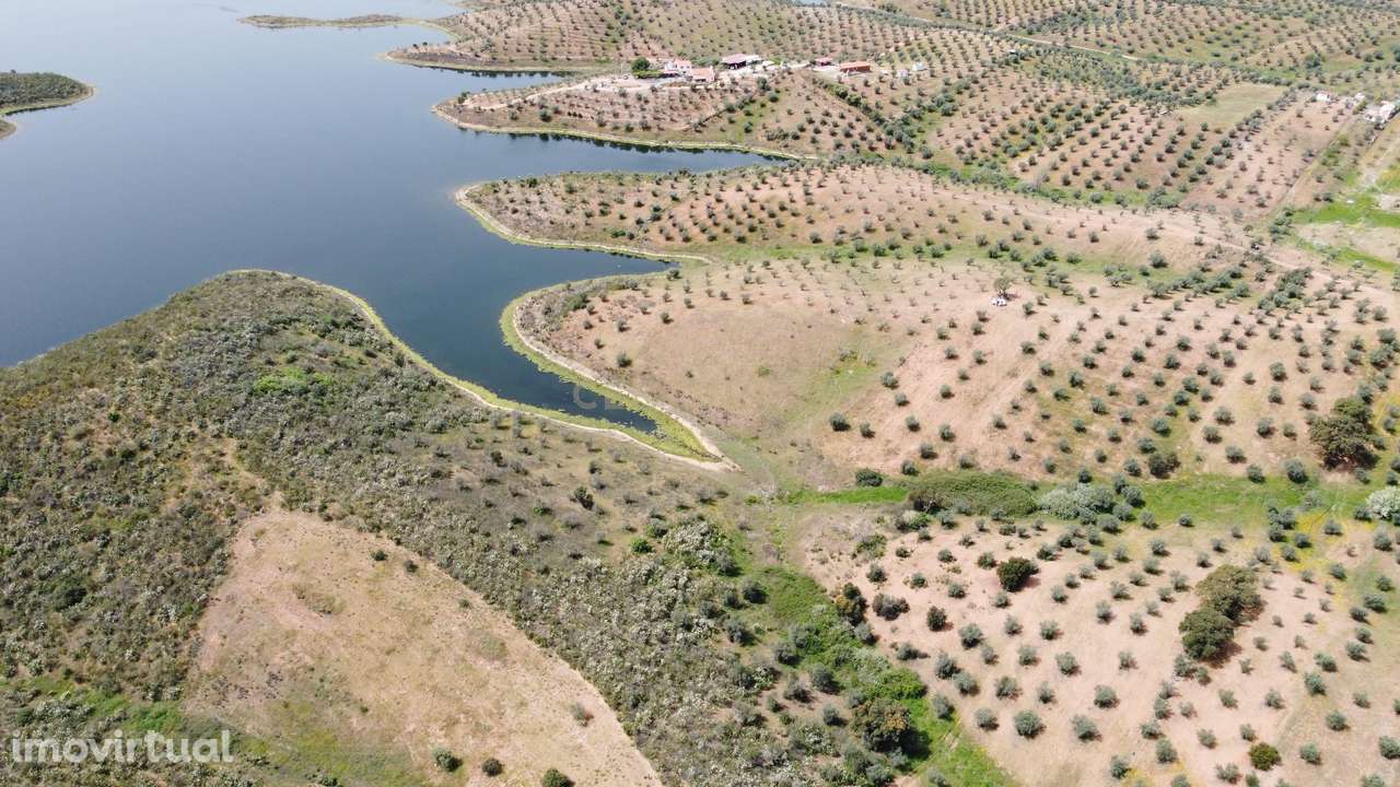 Terreno Rústico na Região de Portel, junto à Vila do Alqueva - Grande imagem: 4/27