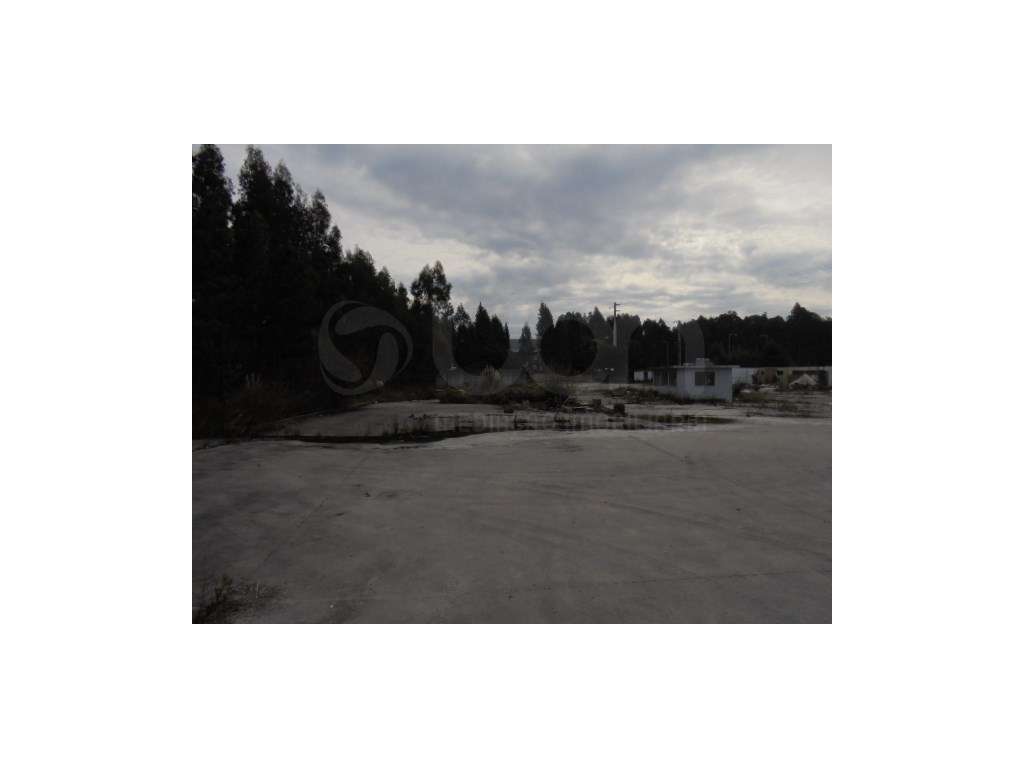 Terreno em Águeda - Grande imagem: 3/7