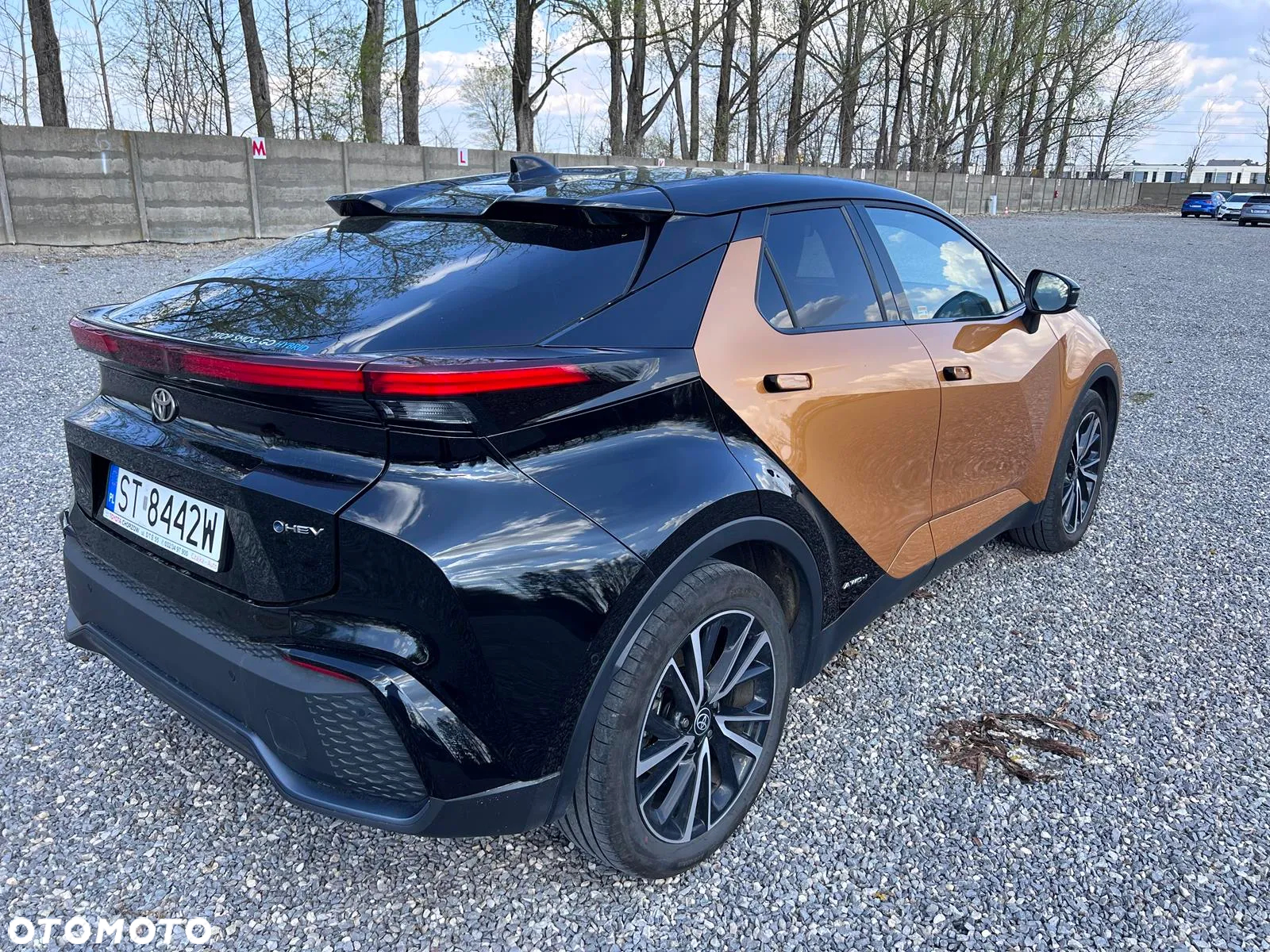 Toyota C-HR 2.0 PHEV Dynamic Force Executive - 5