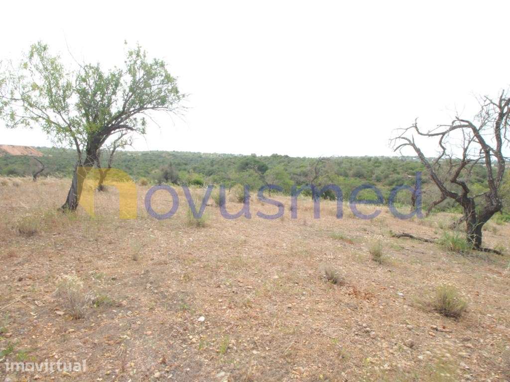 Casas antigas Albufeira - Grande imagem: 5/19
