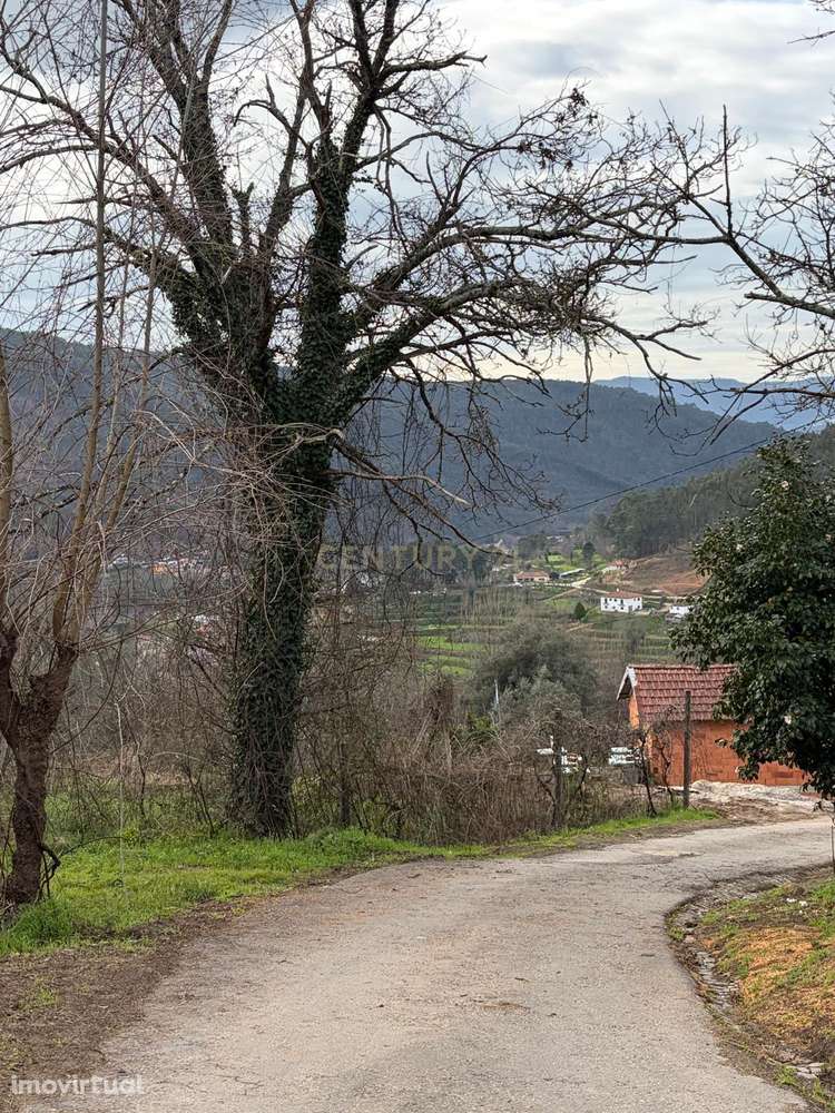 Palheiro para Recuperar + Terreno 2000 m² | Louras de Matos (Urrô) - Grande imagem: 5/8