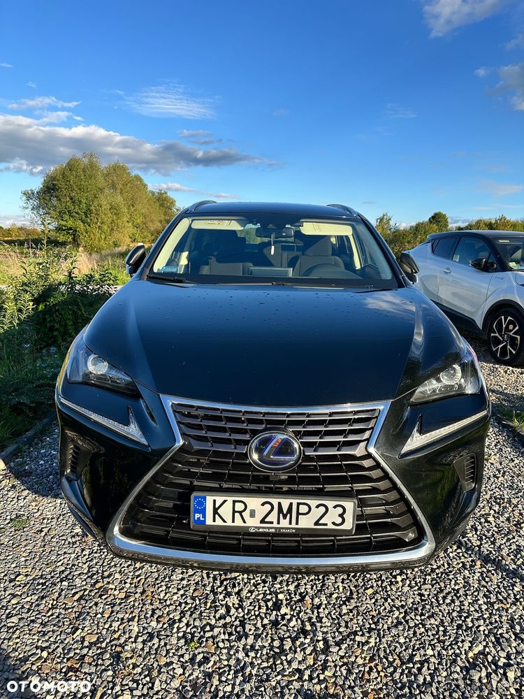 Lexus NX 300h Elegance Optimum AWD - 6