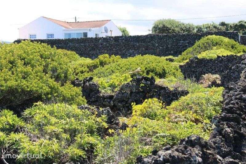 Terreno Cais Mourato - Ilha do Pico - Grande imagem: 2/4