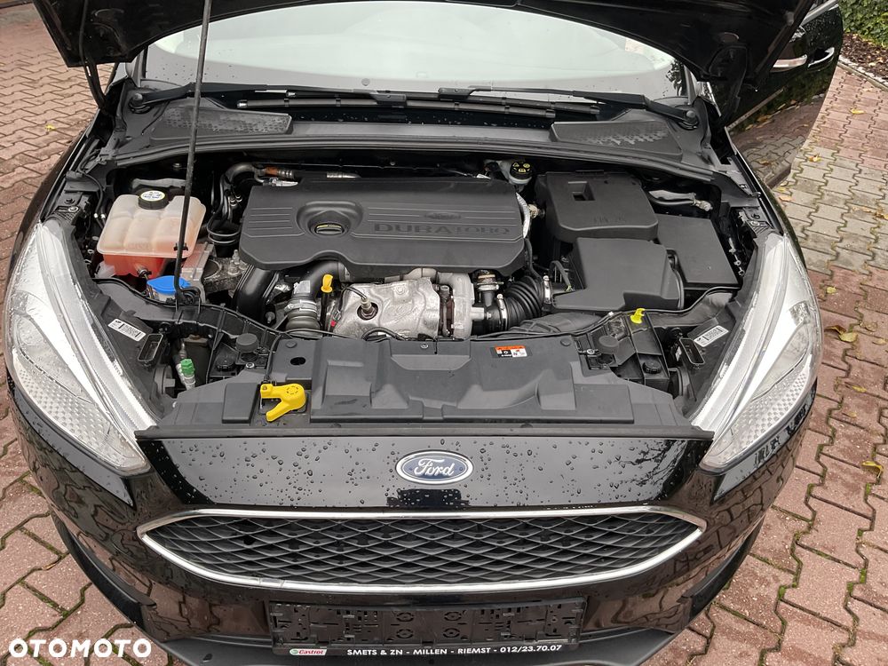 Ford Focus 1.5 TDCi ECOnetic 88g Start-Stopp-System Trend - 16