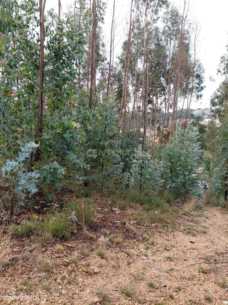 Terreno Rústico 1395 m2 na Foz do Sousa!!! - Grande imagem: 5/23