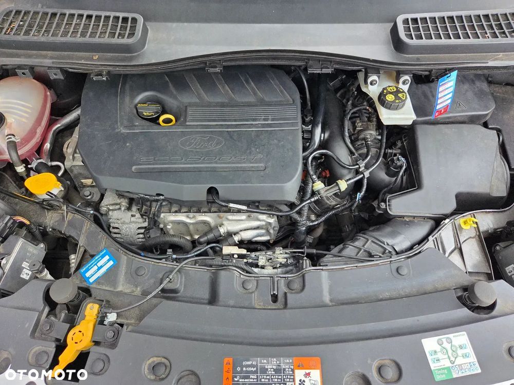 Ford Kuga 1.5 EcoBoost FWD Edition ASS MMT6 - 36