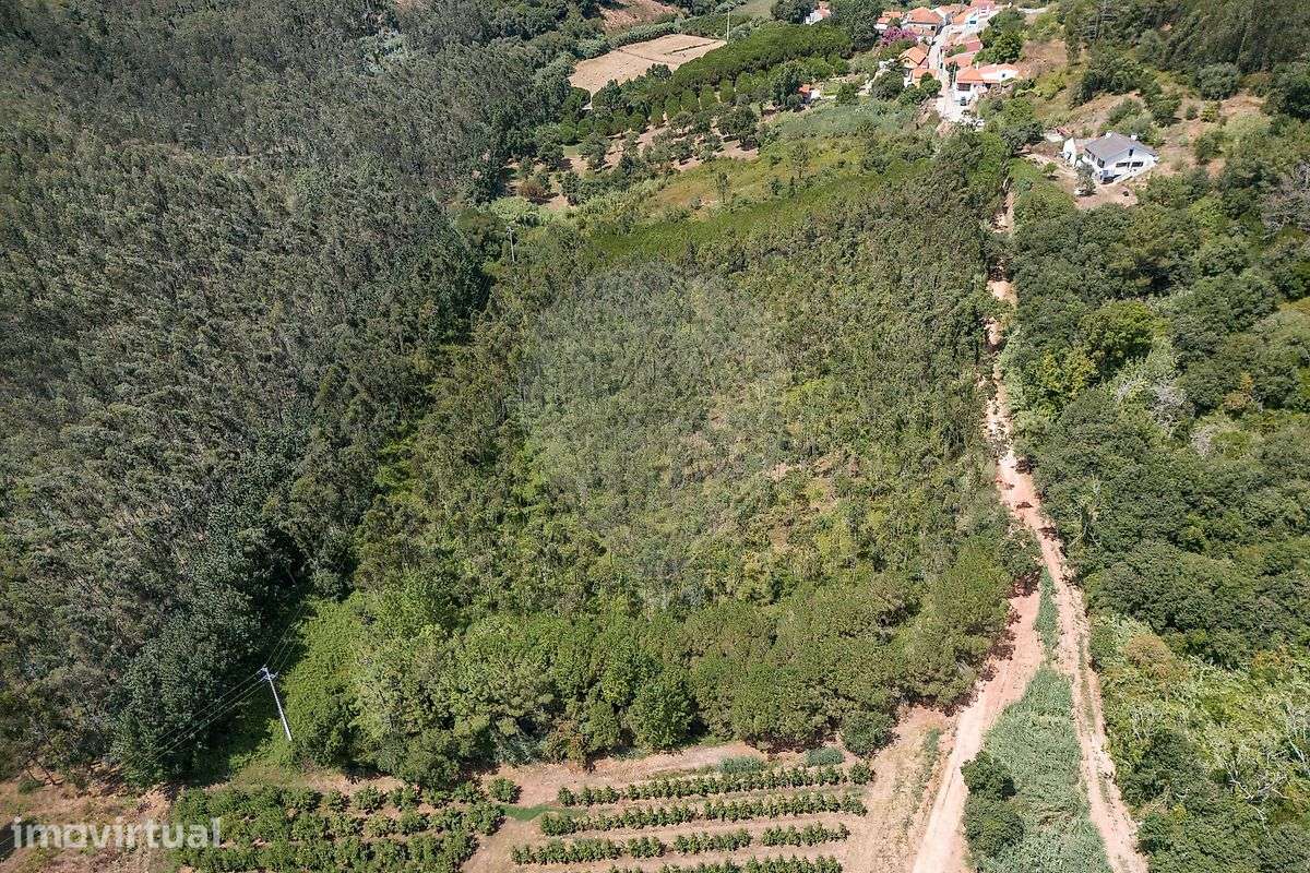 Terreno  para venda - Grande imagem: 4/17
