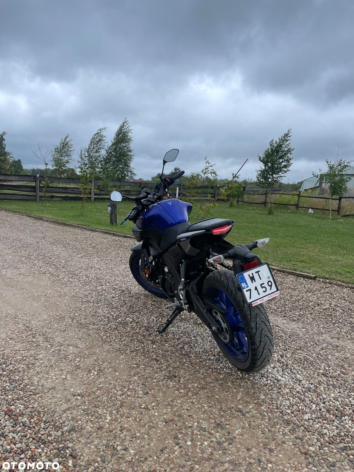 Yamaha MT - 9