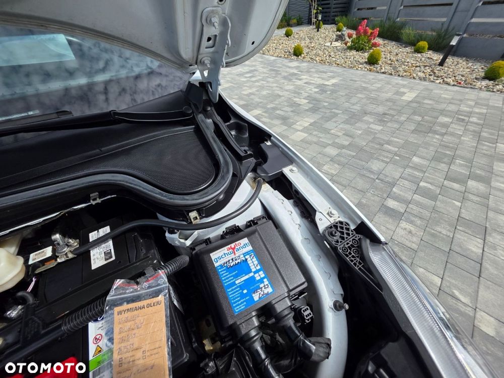 Ford Focus - 31