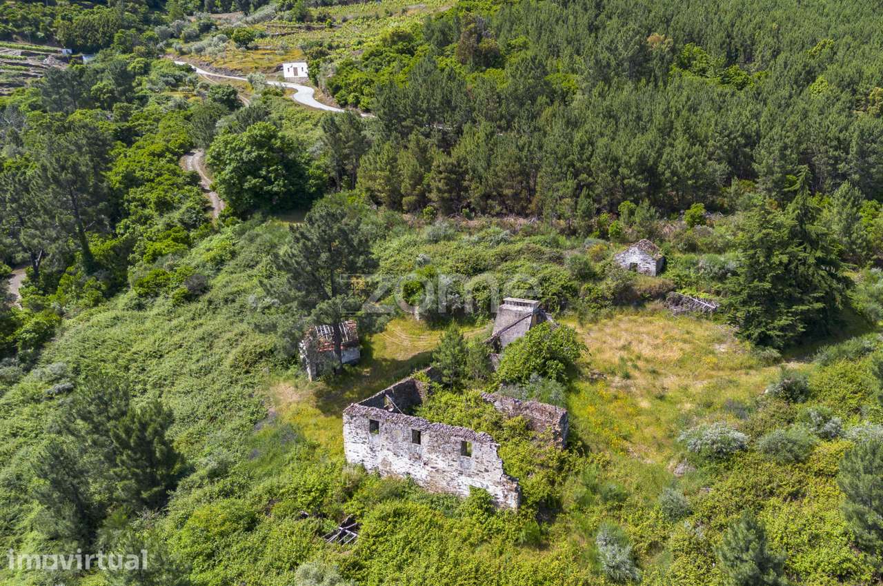 Quinta das Beatas, Gouvães do Douro - Grande imagem: 5/20