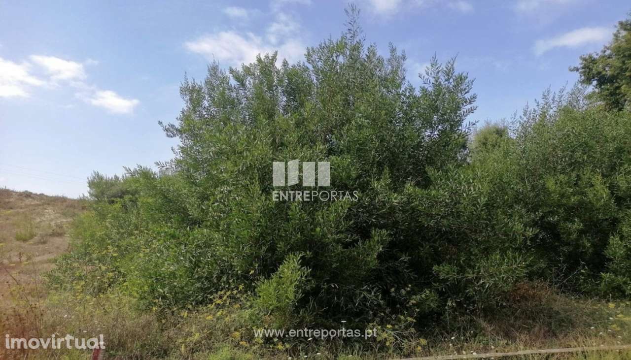 Venda de Terreno de construção, Vila Nova de Anha, Viana do Castelo - Grande imagem: 3/29