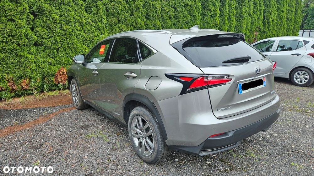 Lexus NX 300 AWD - 3