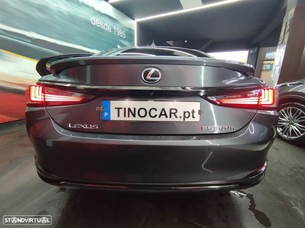 Lexus ES 300h F Sport - 12