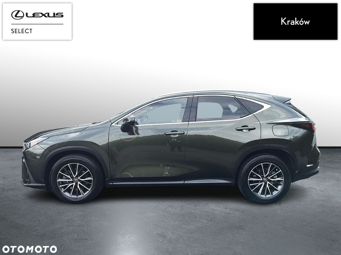 Lexus NX - 2
