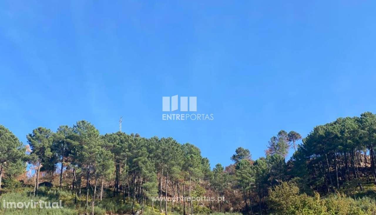 Venda Terreno, São Cristóvão de Nogueira, Cinfães - Grande imagem: 4/8