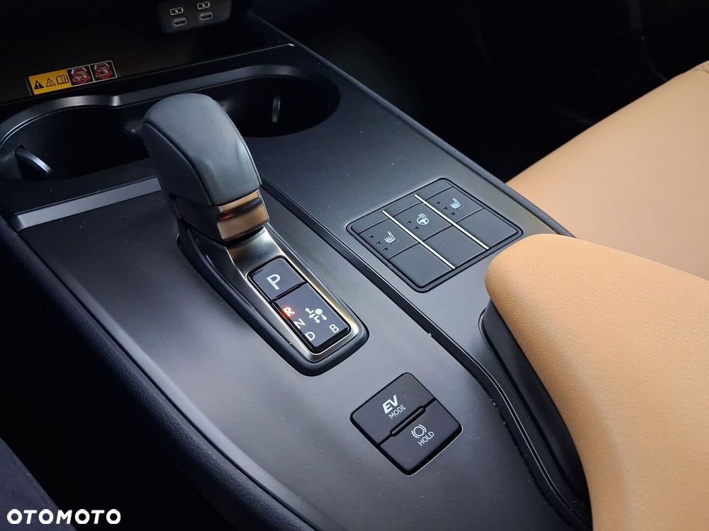 Lexus UX 300h F Sport Design - 13