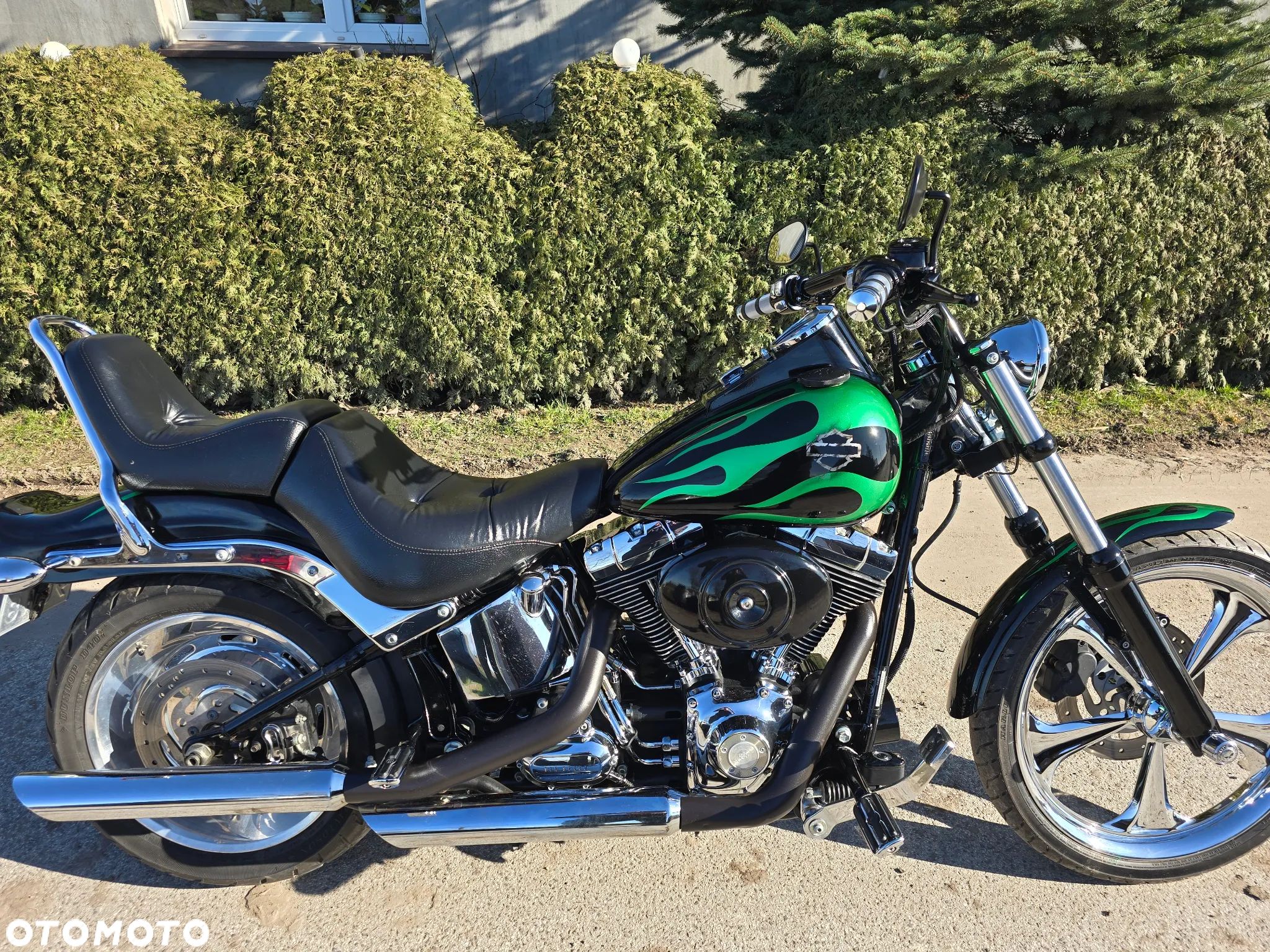 Harley-Davidson Softail Custom - 1